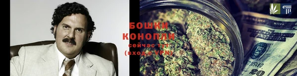 шишки Богородск