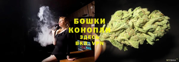 крисы Богородицк