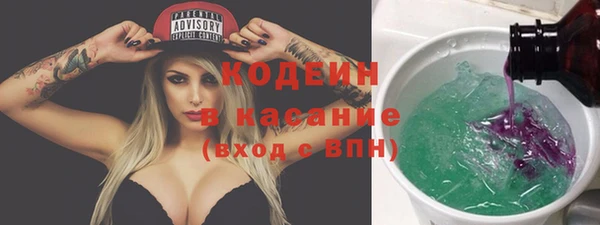 шишки Богородск