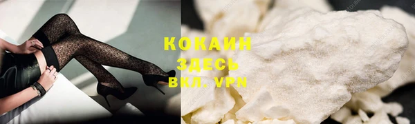 шишки Богородск