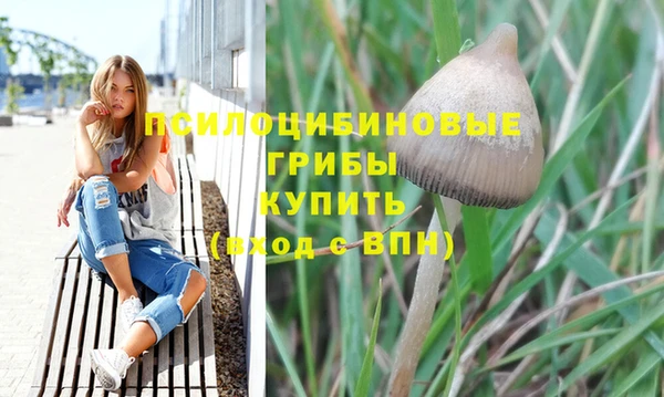 кокаин премиум Богданович
