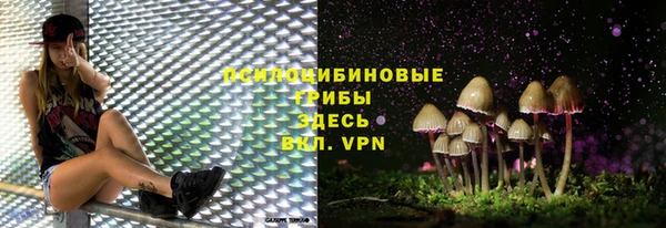 крисы Богородицк
