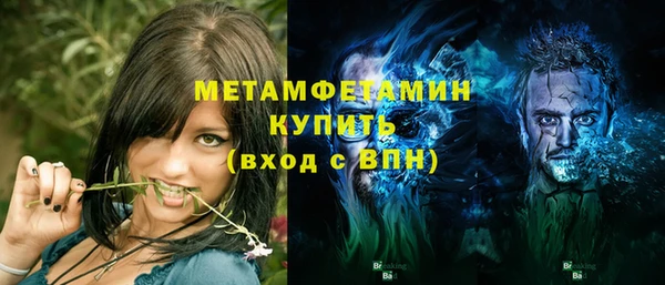 крисы Богородицк