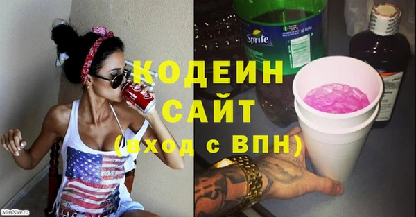 крисы Богородицк