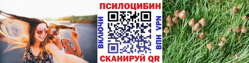 сколько стоит Дятьково blacksprut Галлюциногенные грибы MAGIC MUSHROOMS